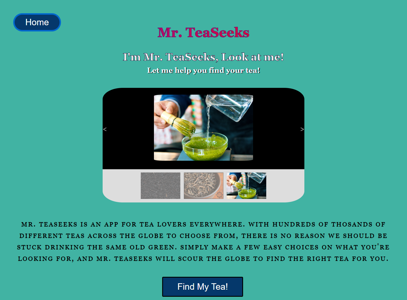 A screenshot of Mr. TeaSeeks